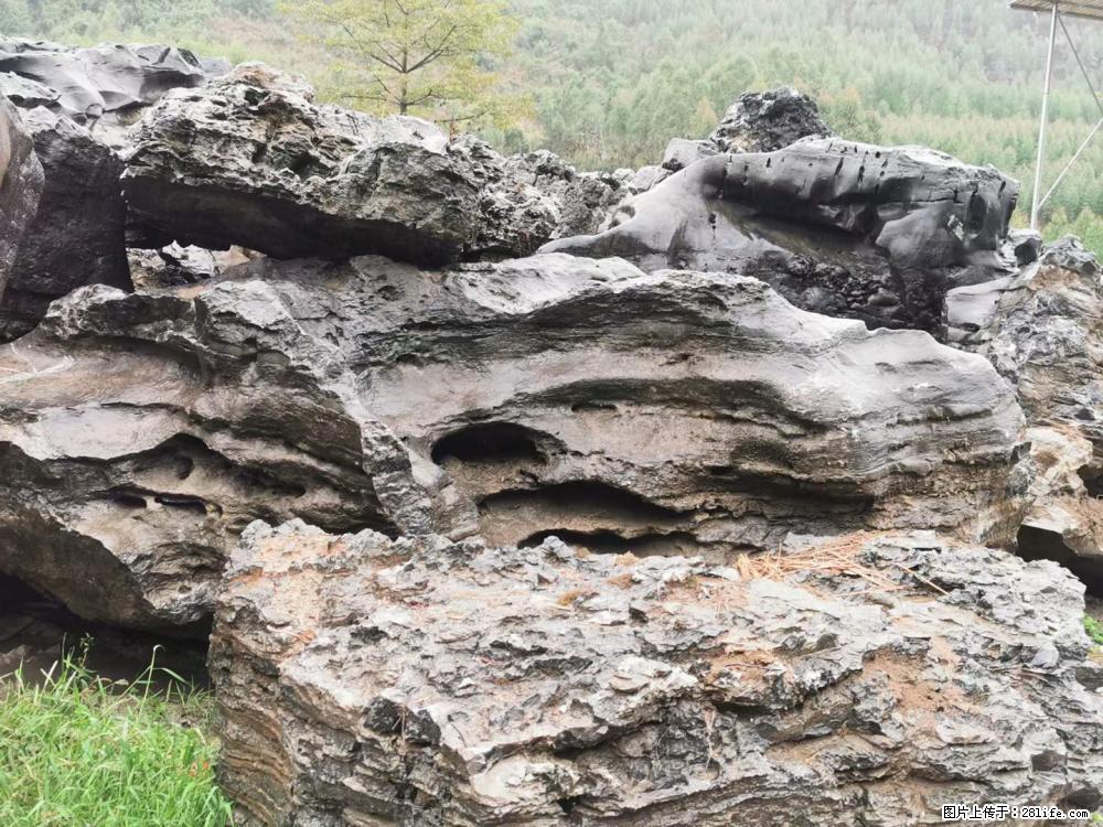 风景石、假山石大量有货,有需要的欢迎联系 - 新手上路 - 清远生活社区 - 清远28生活网 qingyuan.28life.net
