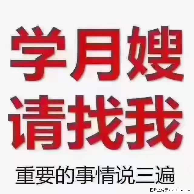 为什么要学习月嫂,育婴师? - 其他广告 - 广告专区 - 清远分类信息 - 清远28生活网 qingyuan.28life.net