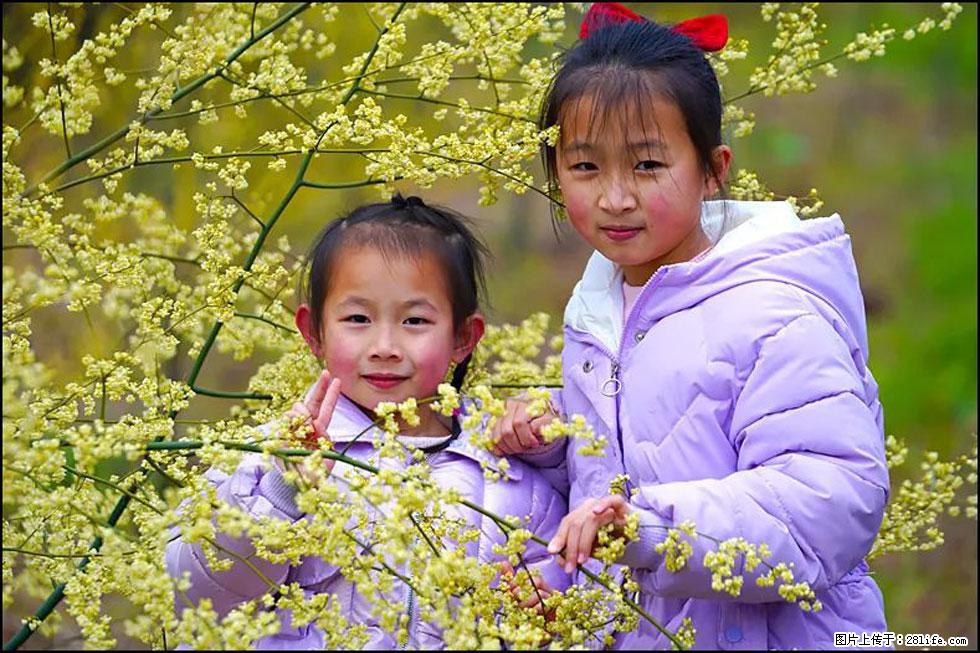 【春天，广西桂林灌阳县向您发出邀请！】米珠山前有片山苍子花在飘香 - 游山玩水 - 清远生活社区 - 清远28生活网 qingyuan.28life.net