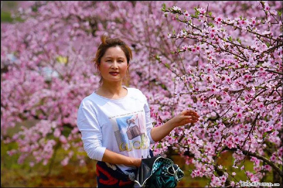 【春天，广西桂林灌阳县向您发出邀请！】官庄村有个醉美的桃花园 - 游山玩水 - 清远生活社区 - 清远28生活网 qingyuan.28life.net