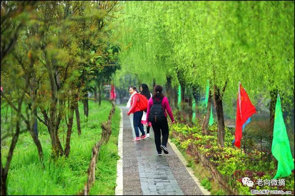 【春天，广西桂林灌阳县向您发出邀请！】江口老街又逢春 - 游山玩水 - 清远生活社区 - 清远28生活网 qingyuan.28life.net