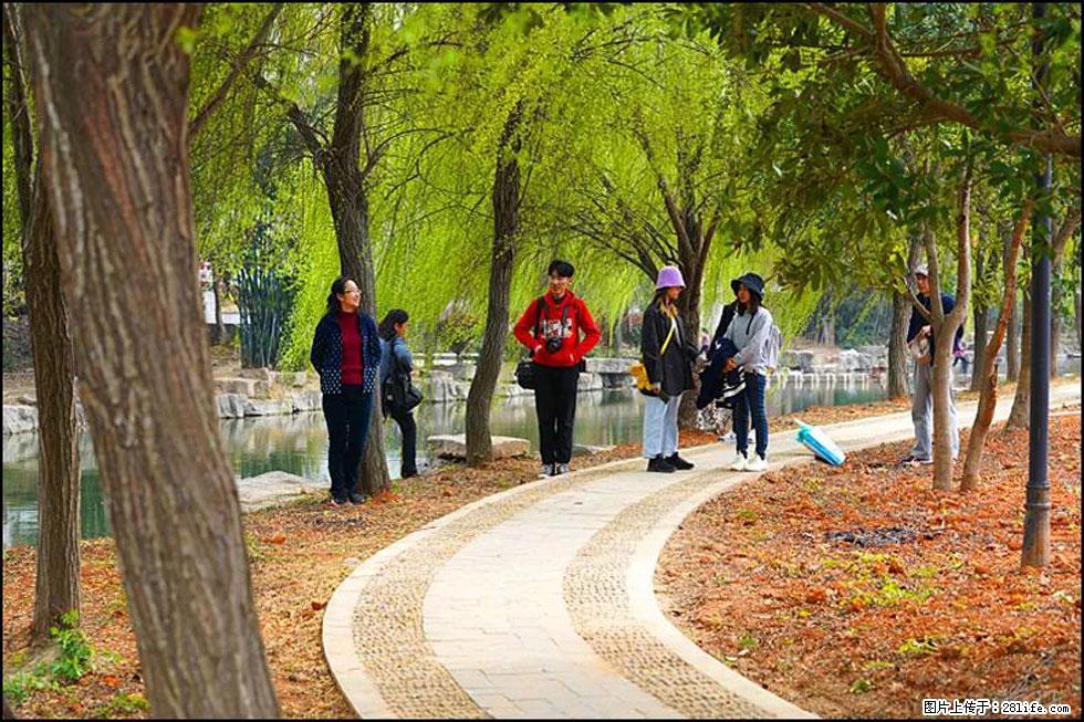 【春天，广西桂林灌阳县向您发出邀请！】江口老街又逢春 - 游山玩水 - 清远生活社区 - 清远28生活网 qingyuan.28life.net