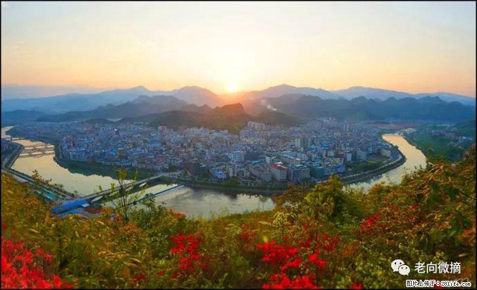 【春天，广西桂林灌阳县向您发出邀请！】登麒麟山，相约映山红 - 游山玩水 - 清远生活社区 - 清远28生活网 qingyuan.28life.net