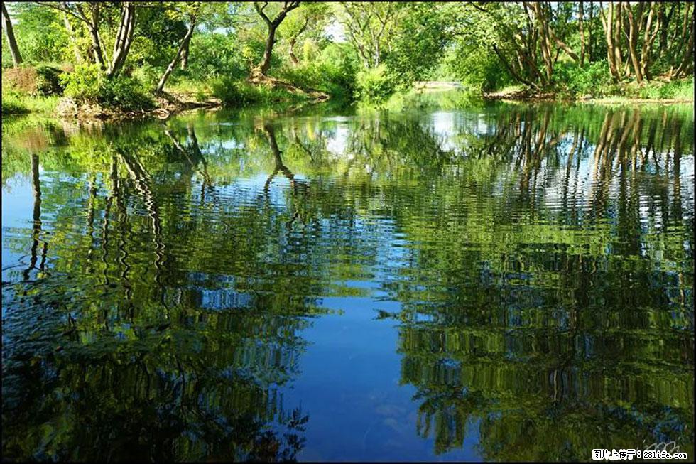 【春天，广西桂林灌阳县向您发出邀请！】熊家寨湿地公园 - 游山玩水 - 清远生活社区 - 清远28生活网 qingyuan.28life.net