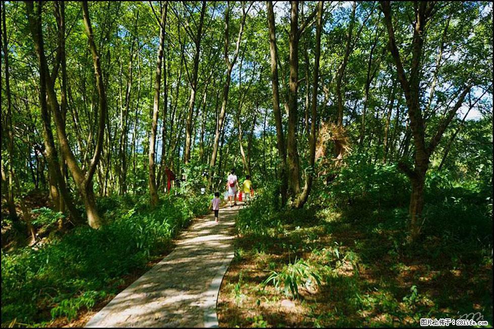 【春天，广西桂林灌阳县向您发出邀请！】熊家寨湿地公园 - 游山玩水 - 清远生活社区 - 清远28生活网 qingyuan.28life.net
