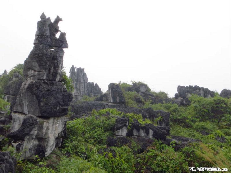 桂林旅游名城景点:灌阳文市石林 - 游山玩水 - 清远生活社区 - 清远28生活网 qingyuan.28life.net