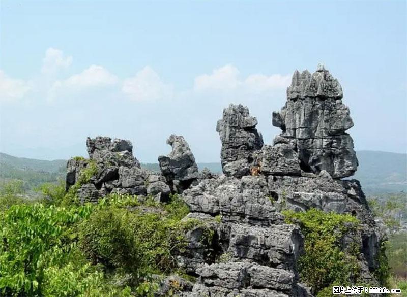 桂林旅游名城景点:灌阳文市石林 - 游山玩水 - 清远生活社区 - 清远28生活网 qingyuan.28life.net