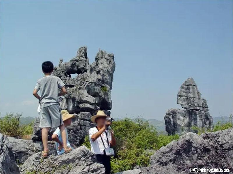 桂林旅游名城景点:灌阳文市石林 - 游山玩水 - 清远生活社区 - 清远28生活网 qingyuan.28life.net