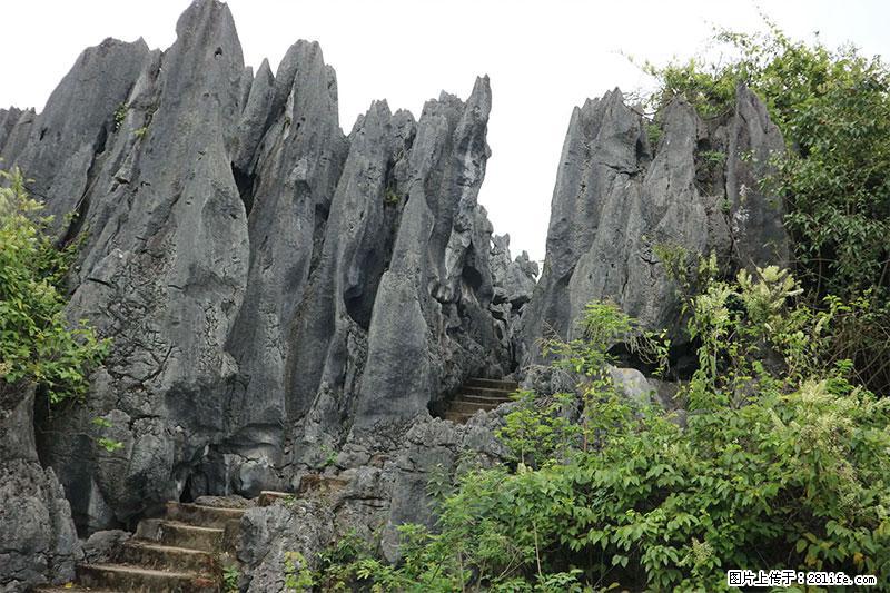 桂林旅游名城景点:灌阳文市石林 - 游山玩水 - 清远生活社区 - 清远28生活网 qingyuan.28life.net