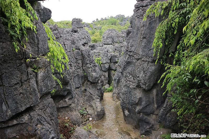 桂林旅游名城景点:灌阳文市石林 - 游山玩水 - 清远生活社区 - 清远28生活网 qingyuan.28life.net