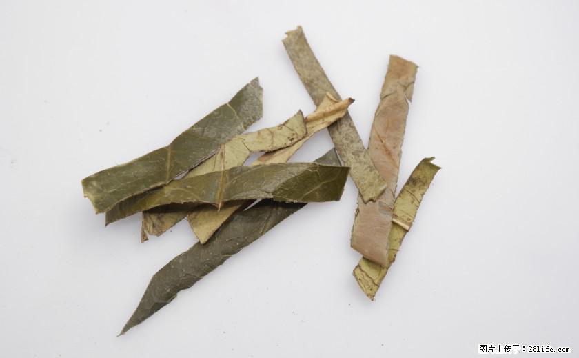 苦丁茶有哪些功效和作用 - 生活百科 - 清远生活社区 - 清远28生活网 qingyuan.28life.net