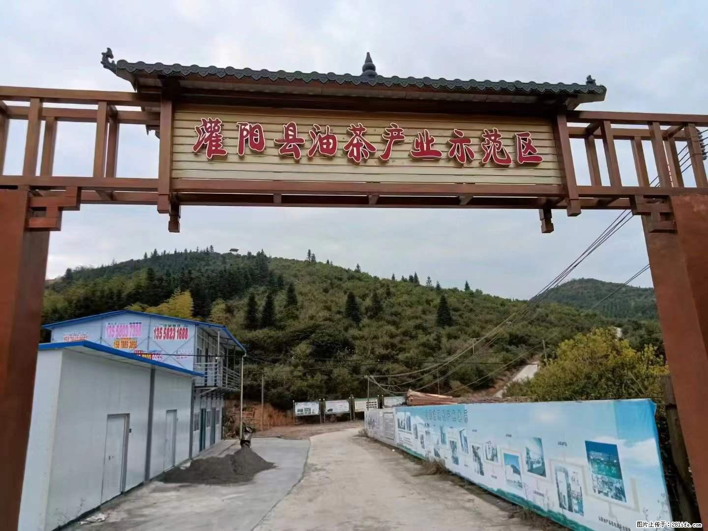 【灌阳县油茶产业示范区】一个有着充实的精神生活的人，对待身外之物自会有一种淡泊的态度 - 美食天地 - 清远生活社区 - 清远28生活网 qingyuan.28life.net