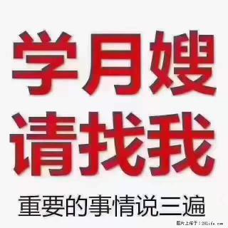 为什么要学习月嫂，育婴师？ - 清远28生活网 qingyuan.28life.net