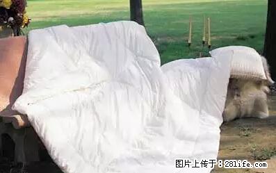 被子有异味？只要这样做，比晒太阳还强100倍！ - 家居生活 - 清远生活社区 - 清远28生活网 qingyuan.28life.net
