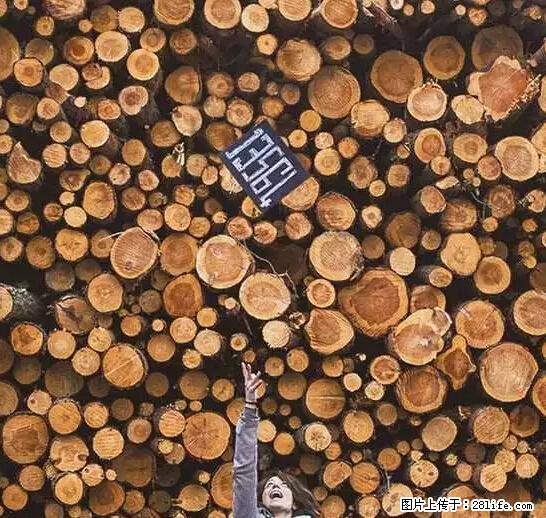 辞掉工作周游世界？现在他们在洗厕所…… - 游山玩水 - 清远生活社区 - 清远28生活网 qingyuan.28life.net