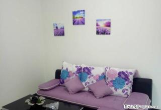 业主全新装修，未入住过，家具齐全，给你一个温馨的家 - 清远28生活网 qingyuan.28life.net