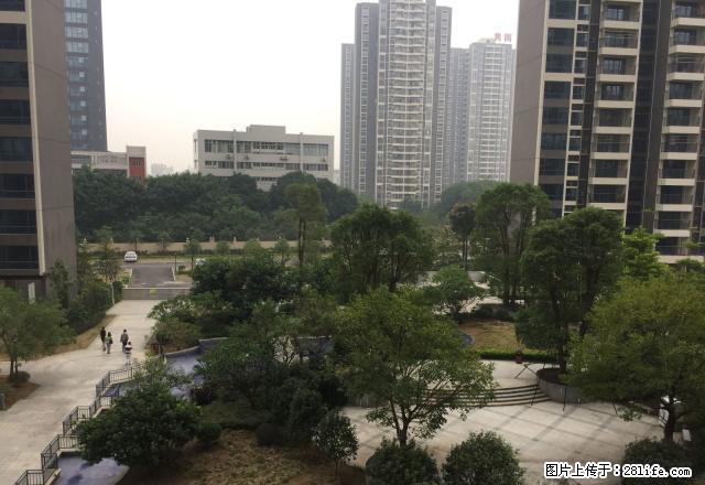 全新家私电器，恒福天曦 1000元 精装修 - 房屋出租 - 房屋租售 - 清远分类信息 - 清远28生活网 qingyuan.28life.net