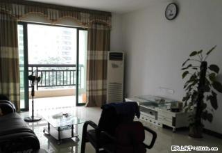 阳光嘉园 临江小区 三房望花园 实用靓房 拎包入住 - 清远28生活网 qingyuan.28life.net