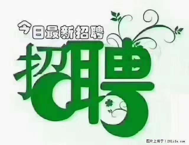 【招聘】产康师 - 职场交流 - 清远生活社区 - 清远28生活网 qingyuan.28life.net