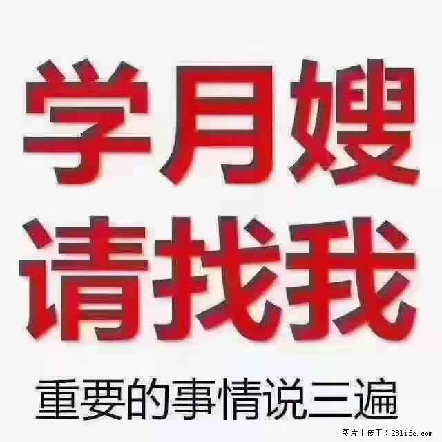 【招聘】月嫂，上海徐汇区 - 职场交流 - 清远生活社区 - 清远28生活网 qingyuan.28life.net