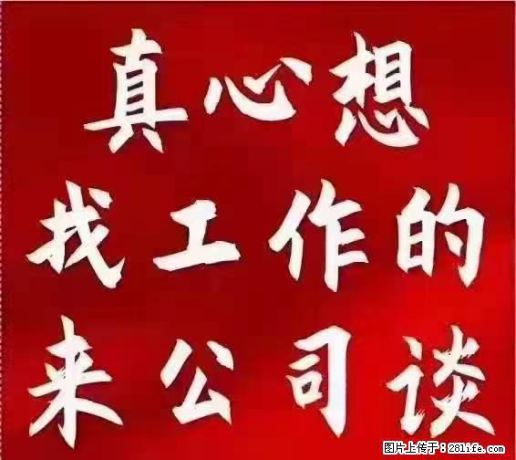 【上海】国企，医院招两名男保安，55岁以下，身高1.7米以上，无犯罪记录不良嗜好 - 职场交流 - 清远生活社区 - 清远28生活网 qingyuan.28life.net