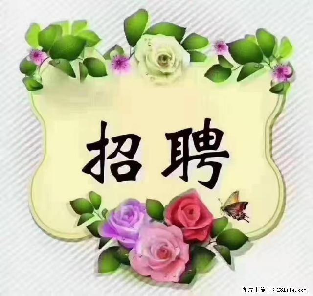 【招聘】住家育儿嫂，上户日期：4月4日，工作地址：上海 黄浦区 - 职场交流 - 清远生活社区 - 清远28生活网 qingyuan.28life.net