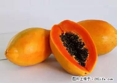 晕车、脚气、牙齿变黄、皮肤粗糙？学会这些三分钟搞定！ - 清远生活资讯 - 清远28生活网 qingyuan.28life.net
