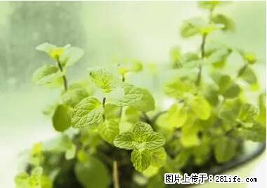 晕车、脚气、牙齿变黄、皮肤粗糙？学会这些三分钟搞定！ - 清远生活资讯 - 清远28生活网 qingyuan.28life.net