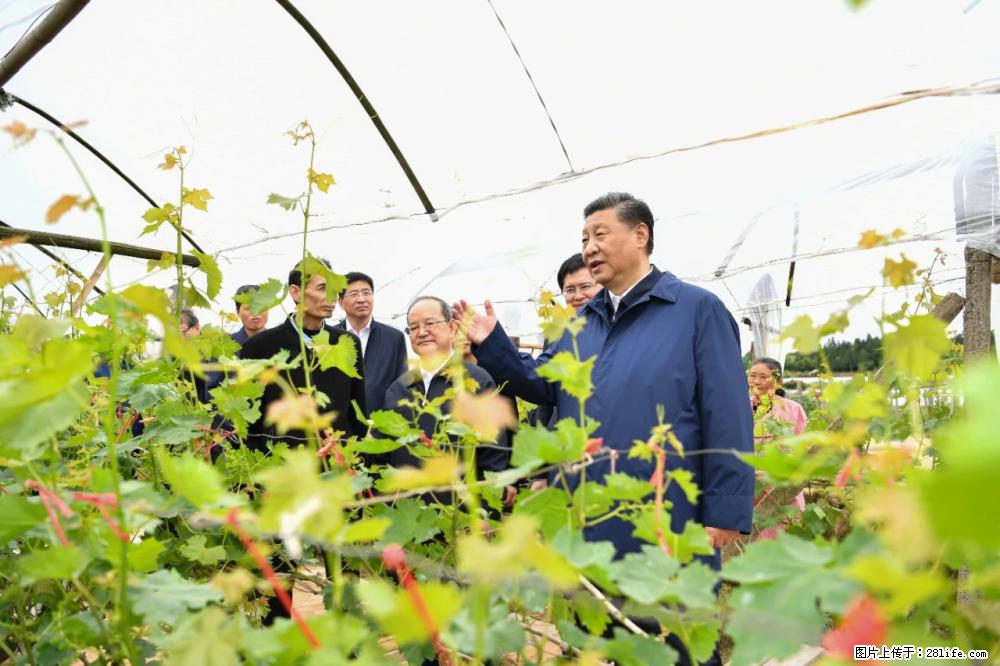 习近平赴广西考察调研 - 清远生活资讯 - 清远28生活网 qingyuan.28life.net