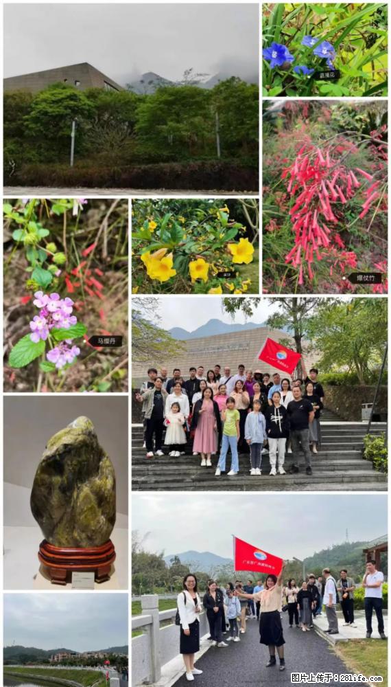 “粤灌文化 美好生活”油茶文化主题活动在广东深圳成功举办 - 清远生活资讯 - 清远28生活网 qingyuan.28life.net