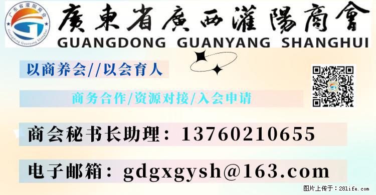 “粤灌文化 美好生活”油茶文化主题活动在广东深圳成功举办 - 清远生活资讯 - 清远28生活网 qingyuan.28life.net