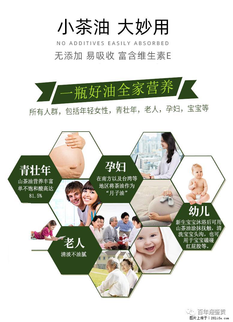 世界没有真相，只有认知，最好的食用油是中国的山茶油！ - 清远生活资讯 - 清远28生活网 qingyuan.28life.net