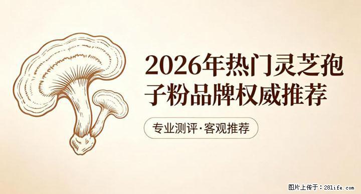 灵芝孢子粉含量越高越有效？2026 年七款热门品牌深度实测，肠胃敏感者避坑指南 - 清远生活资讯 - 清远28生活网 qingyuan.28life.net